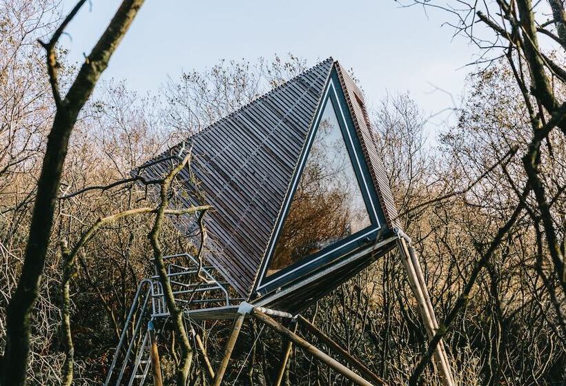 K3 Kudhva Treehouse Cabin In Tintagel