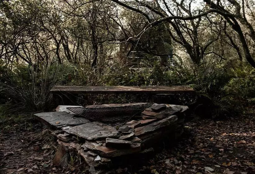 K3 Kudhva Treehouse Cabin In Tintagel