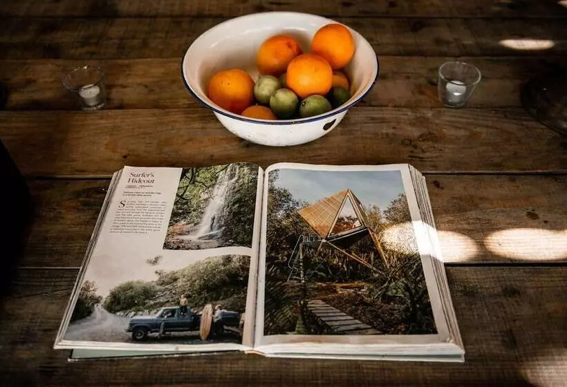 K3 Kudhva Treehouse Cabin In Tintagel