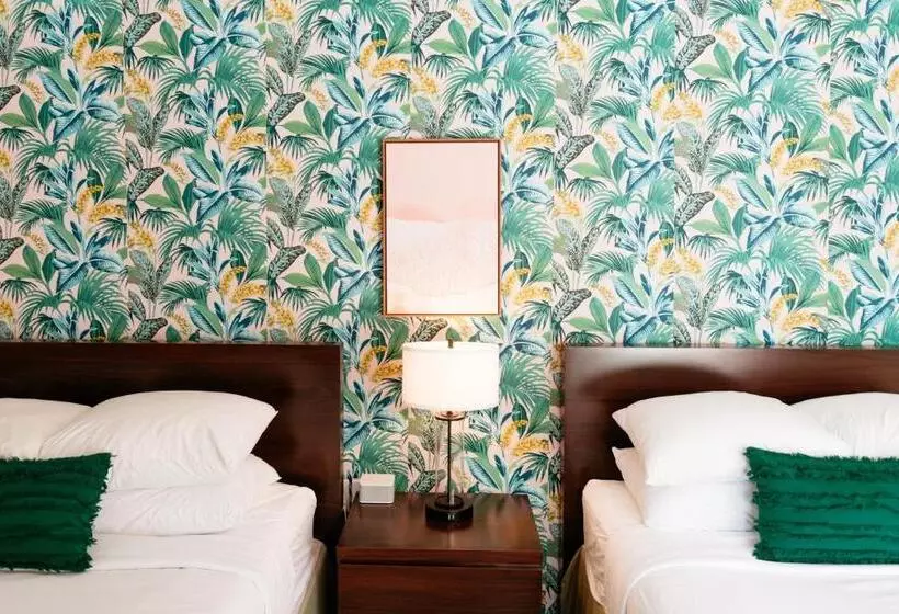 Motelli The Local   St. Augustine