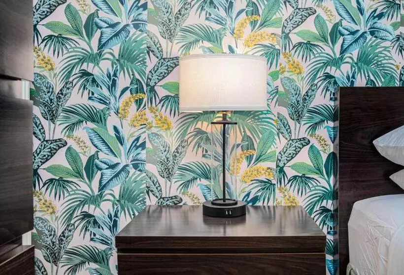 Motelli The Local   St. Augustine