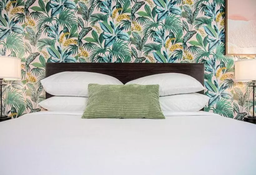 Motelli The Local   St. Augustine