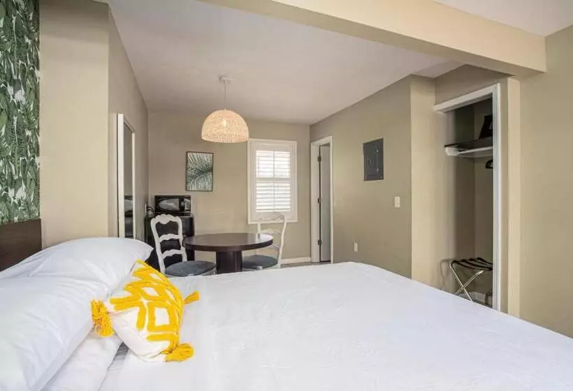 Motelli The Local   St. Augustine