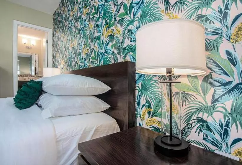 Motelli The Local   St. Augustine