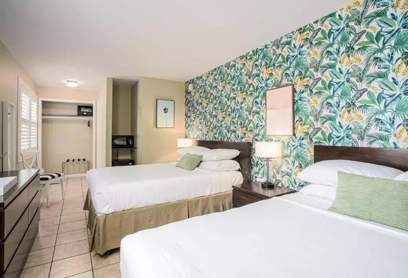 Motelli The Local   St. Augustine