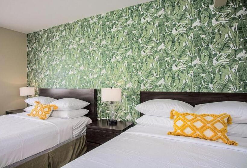 モーテル The Local St. Augustine