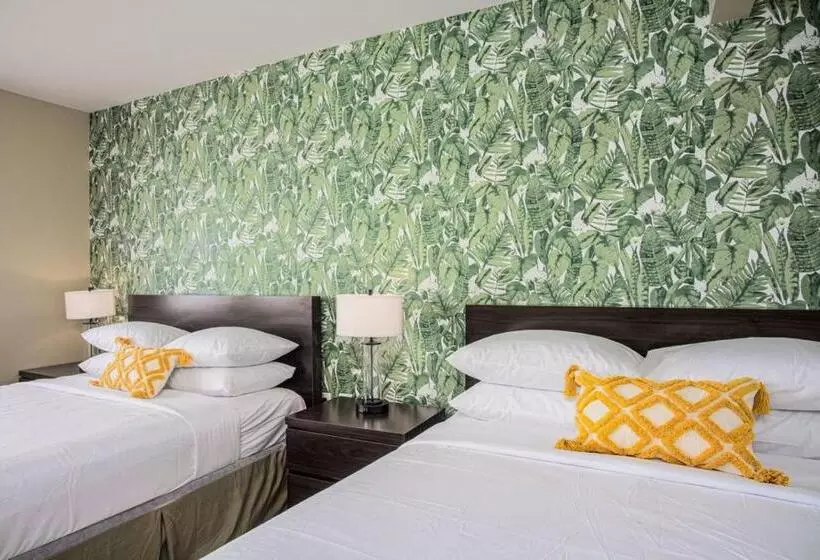 Motelli The Local   St. Augustine