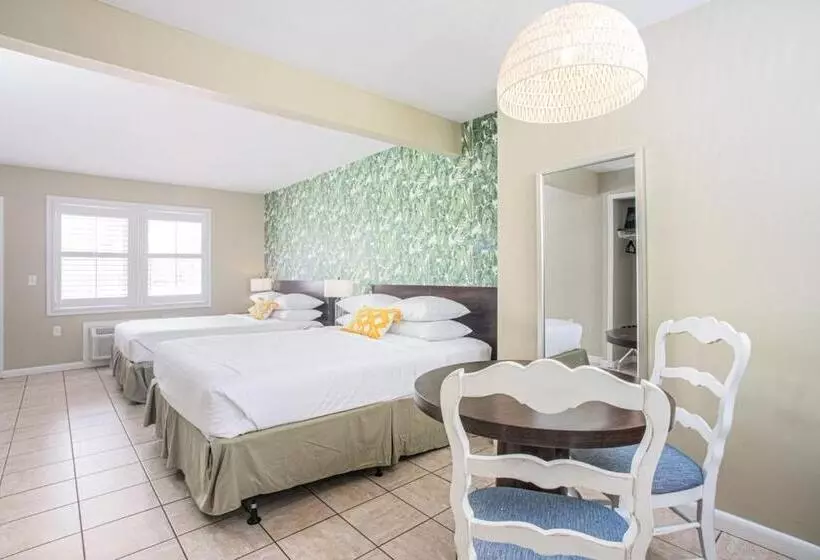 Motelli The Local   St. Augustine