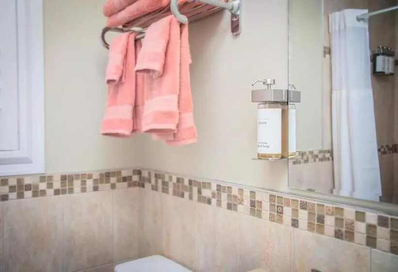 Motelli The Local   St. Augustine