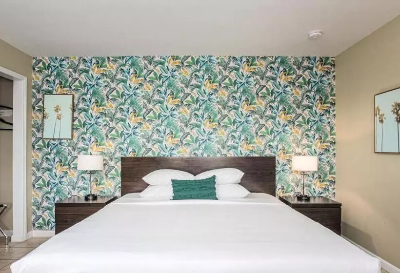 Motelli The Local   St. Augustine