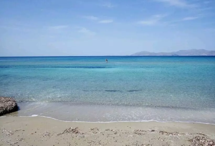レジデンス Eco Secluded Hand Built Stone House In An Oasis