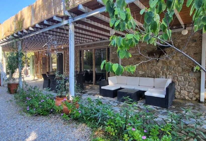 レジデンス Eco Secluded Hand Built Stone House In An Oasis