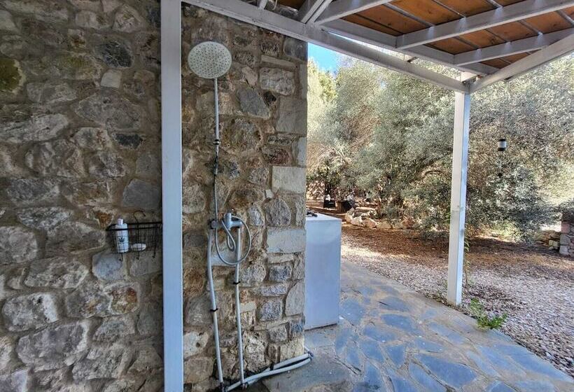 レジデンス Eco Secluded Hand Built Stone House In An Oasis