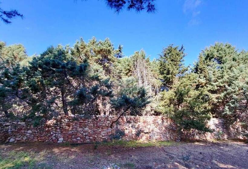 レジデンス Eco Secluded Hand Built Stone House In An Oasis