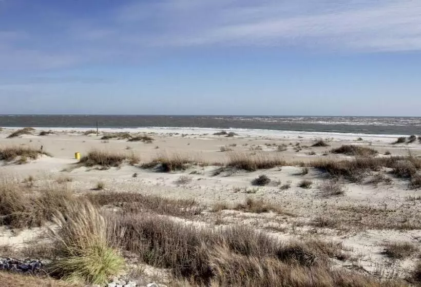 11d Mariners Walk By Avantstay Oceanfront Living Amazing Views! Communal Pool