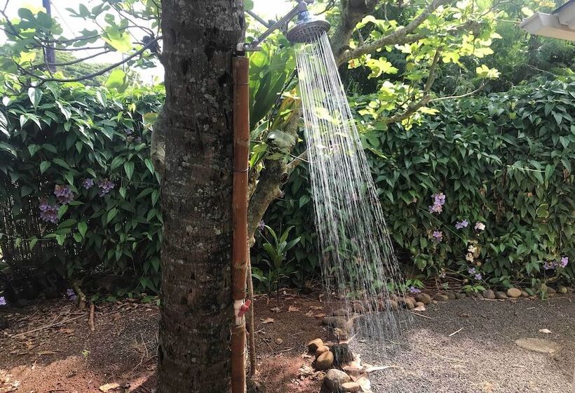 Hale Iki Kapa A Cottage 1 Block To Beach!