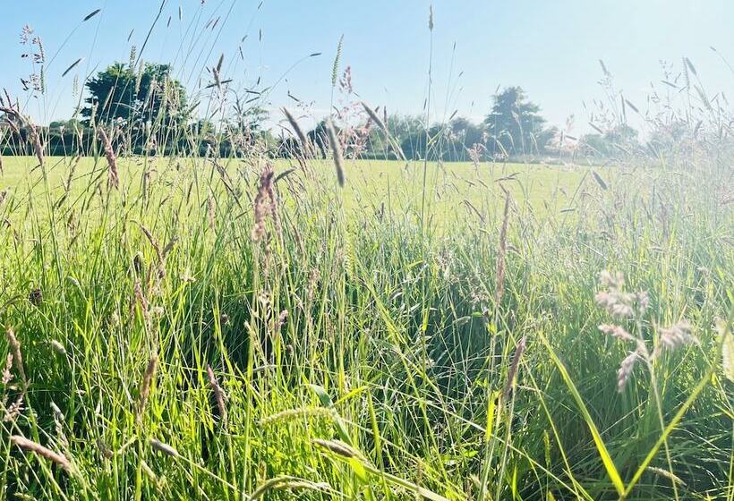 호텔 Charming Lodge In Morpeth