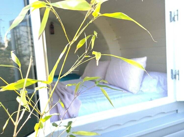 호텔 Charming Lodge In Morpeth