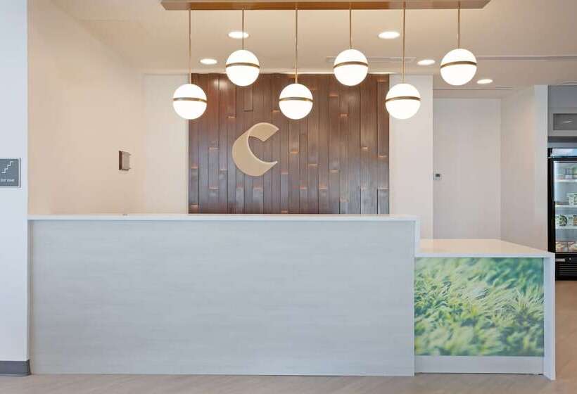 ホテル Comfort Inn & Suites Us 60