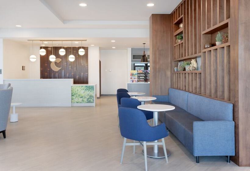 ホテル Comfort Inn & Suites Us 60