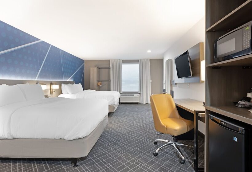 ホテル Comfort Inn & Suites Us 60