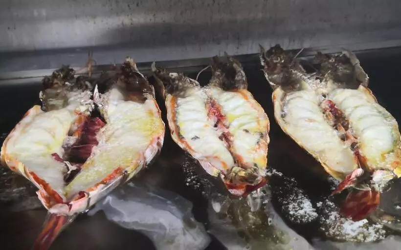 Hotelli Tsitsikamma On Sea Resort