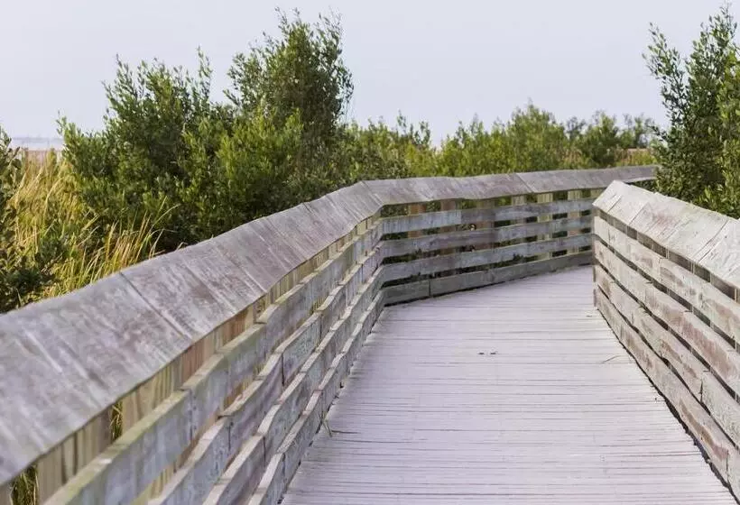 Hotelli Wild Wind Condominiums #9