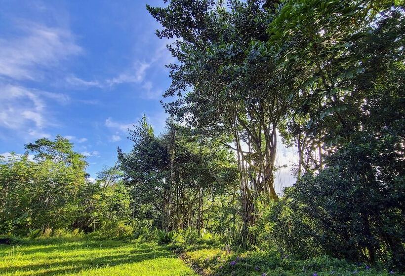 Luxury Hawaii Getaway: Close To Beach & Ocean