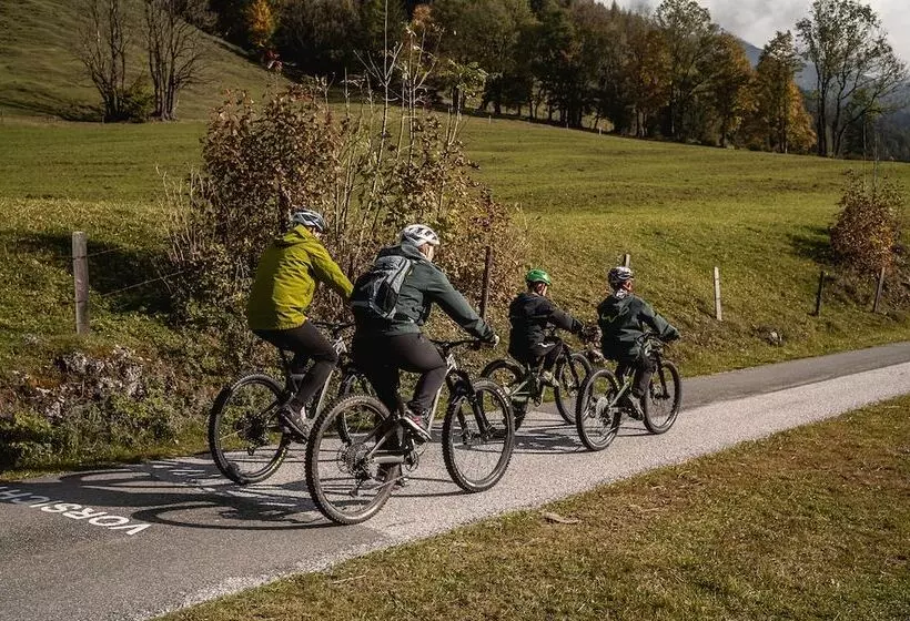 Apart Herzog   Design Apartments Leogang