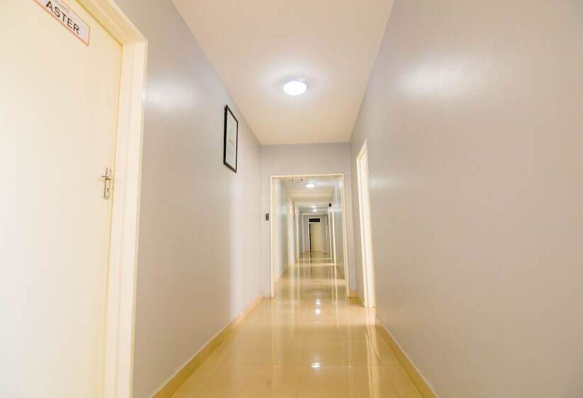 تختخواب و صبحانه Orangestar Lodge