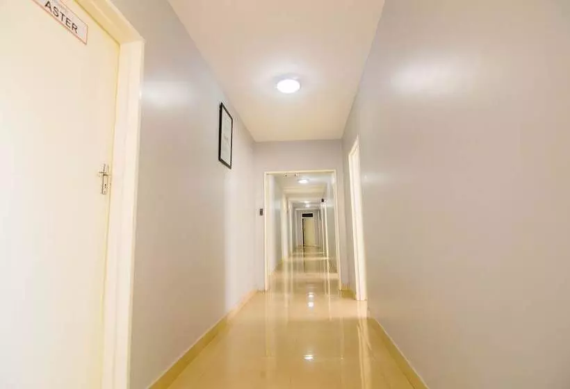 تختخواب و صبحانه Orangestar Lodge