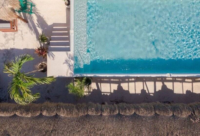 בית מלון כפרי Sonno Caliza Tulum