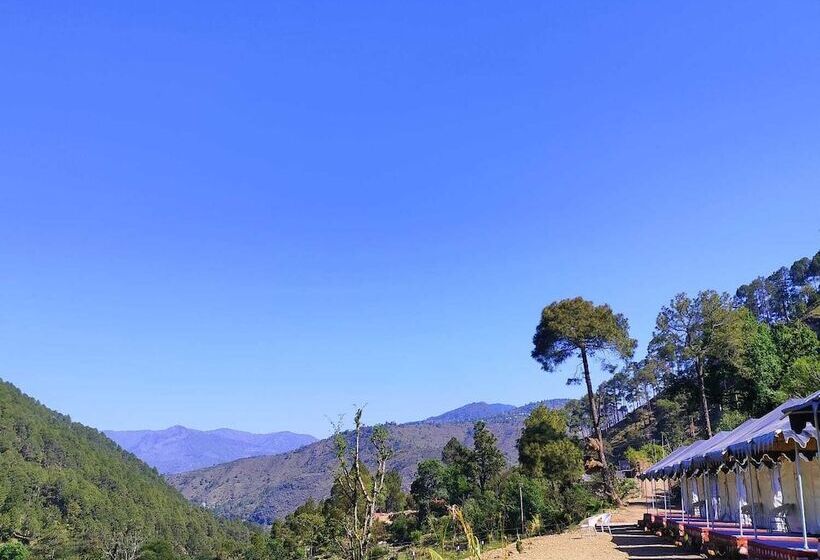 호텔 Hill Springs Resort And Cafe