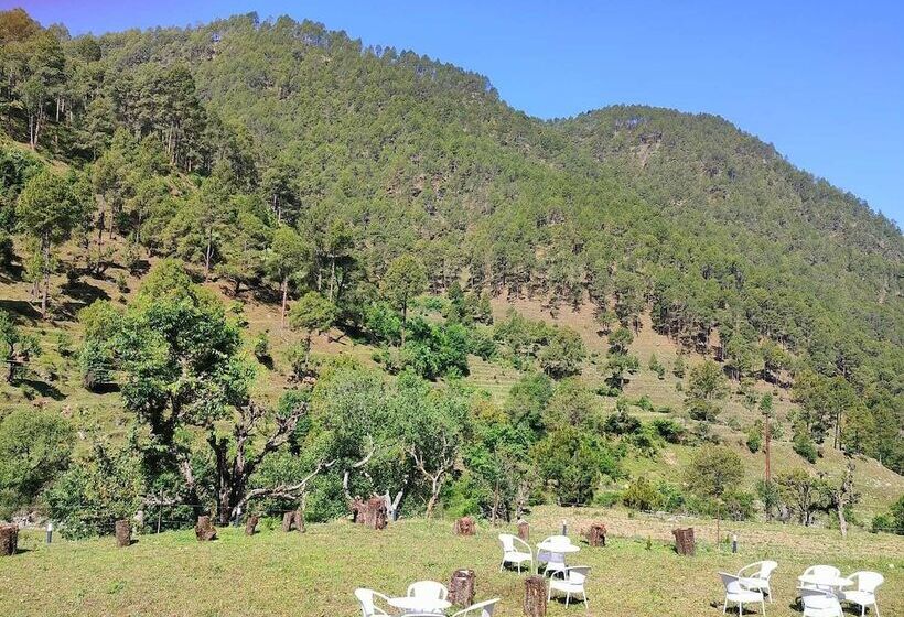 호텔 Hill Springs Resort And Cafe