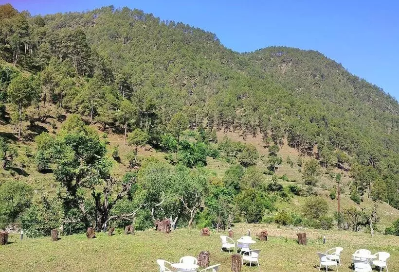 ホテル Hill Springs Resort And Cafe