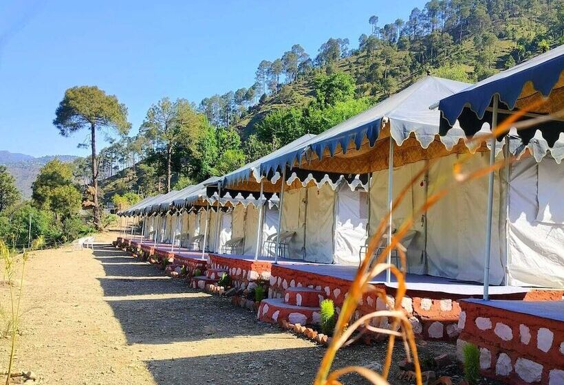 호텔 Hill Springs Resort And Cafe