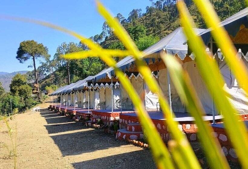 호텔 Hill Springs Resort And Cafe