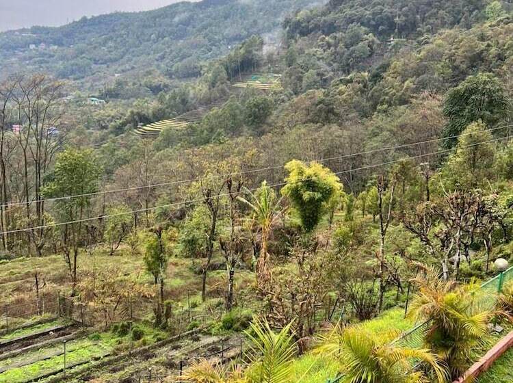 Hotel Rumtek Boutique Nest