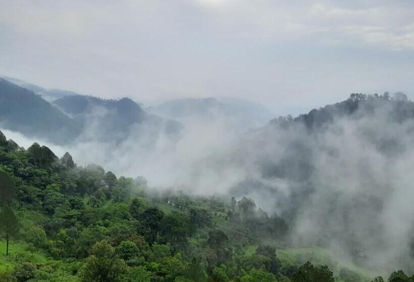 Hotelli Sun Stars Inn