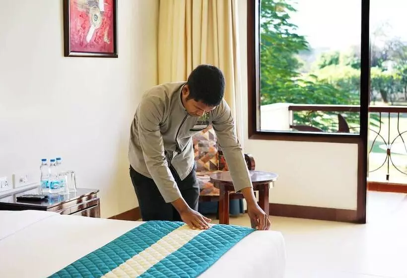 Hotelli Treehouse Sunrise Resort & Caravan Park