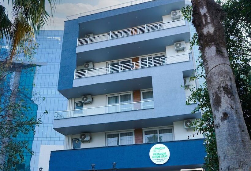 Lime Tree Hotel Near 32nd Milestone