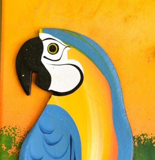 هاستل Pousada Nossa Senhora Da Guia