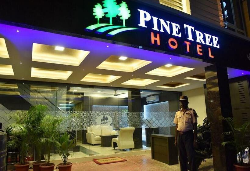 Hotel Pine Tree