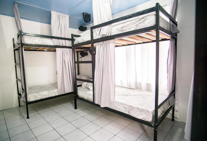 Pura Vibra Hostel