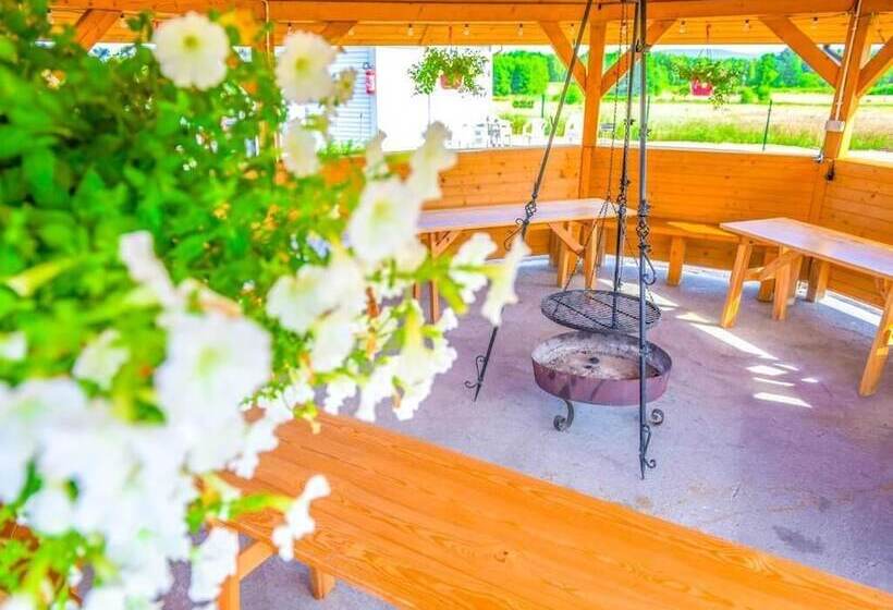 Курорт Holiday Park Zator