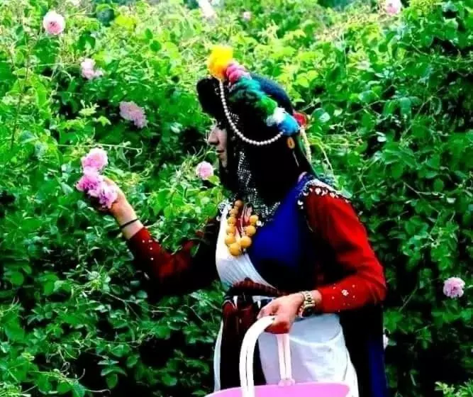 リヤド Kasbah Amlal