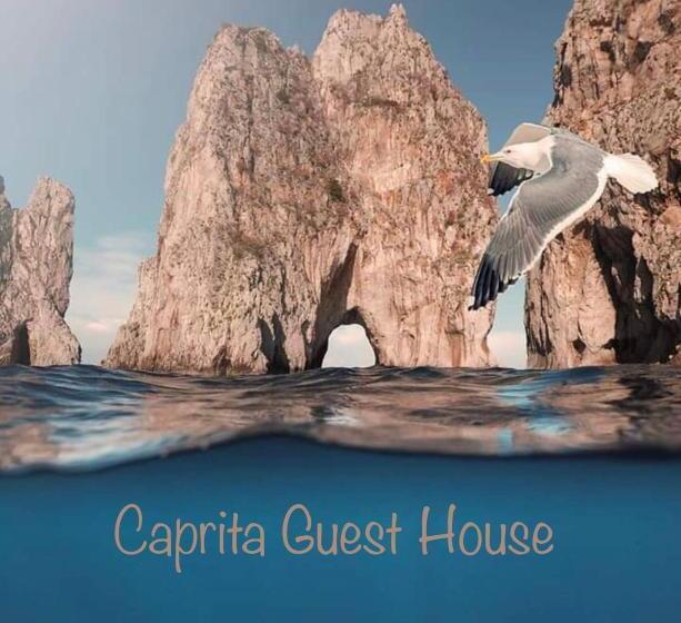 تختخواب و صبحانه Caprita Guest House