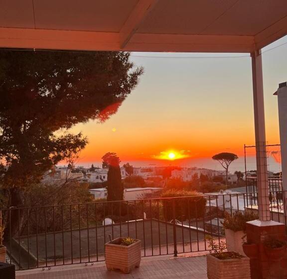 تختخواب و صبحانه Caprita Guest House