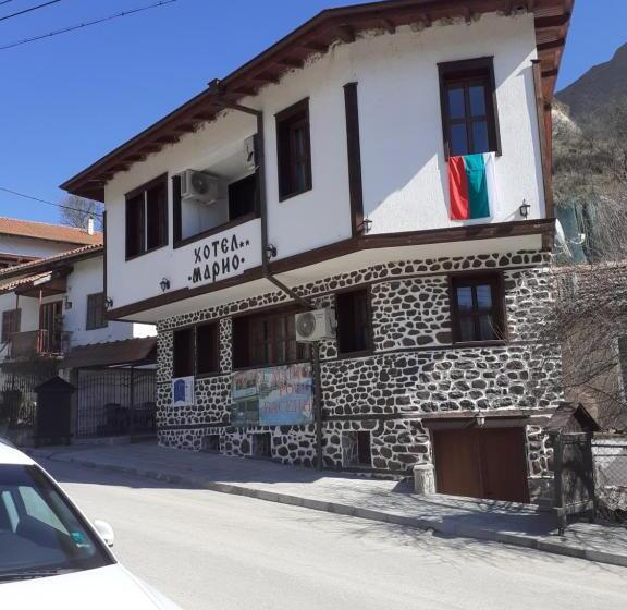 Отель хотел марио