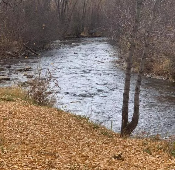 Motelli Down Home Lodge & Family Rv Resort